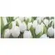 Плитка Атем Yalta Tulip W Mini, 200х500 мм купити недорого в Україні, фото 2