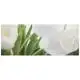 Плитка Атем Yalta 2 Tulip W, 200х500 мм, 5525, фото 1 Плитка Атем Yalta 2 Tulip W, 200х500 мм, 5525 купити недорого в Україні, фото 1