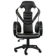 Кресло геймерское Special4You Raptor Seat, черно-белый, E7696, фото 1 Кресло геймерское Special4You Raptor Seat, черно-белый, E7696 купить недорого в Украине, фото 1
