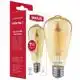 Лампа Maxus Golden Filament, ST64, 7W, 2700K, E27, 1-MFM-7064, фото 1 Лампа Maxus Golden Filament, ST64, 7W, 2700K, E27, 1-MFM-7064 купити недорого в Україні, фото 1