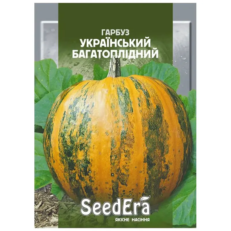 Семена тыквы SeedEra Украинская многоплодная, 3 г купить недорого в Украине, фото 1