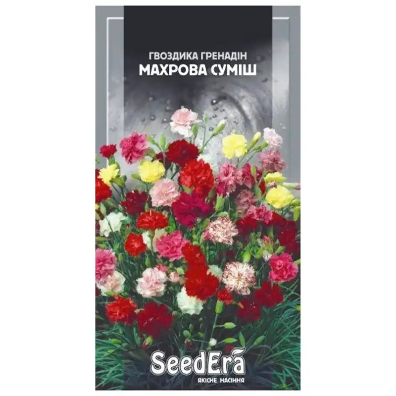 Насіння квітів гвоздики садової SeedEra Гренадін махрова суміш, 0,3 г купити недорого в Україні, фото 1
