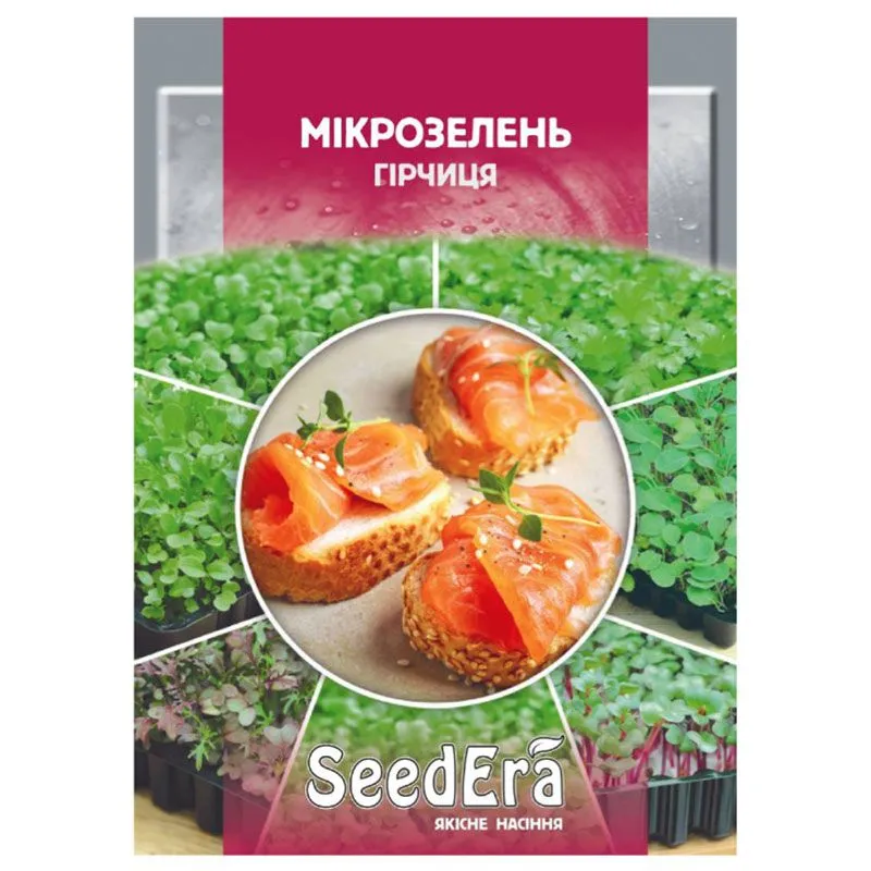Насіння мікрозелені SeedEra Гірчиця, 10 г, У-0000010161 купити недорого в Україні, фото 1