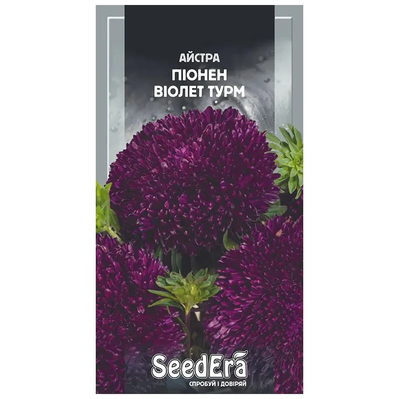 Насіння Seedera Квіти Айстра Піонен Віолет Турм, 25 г купити недорого в Україні, фото 1