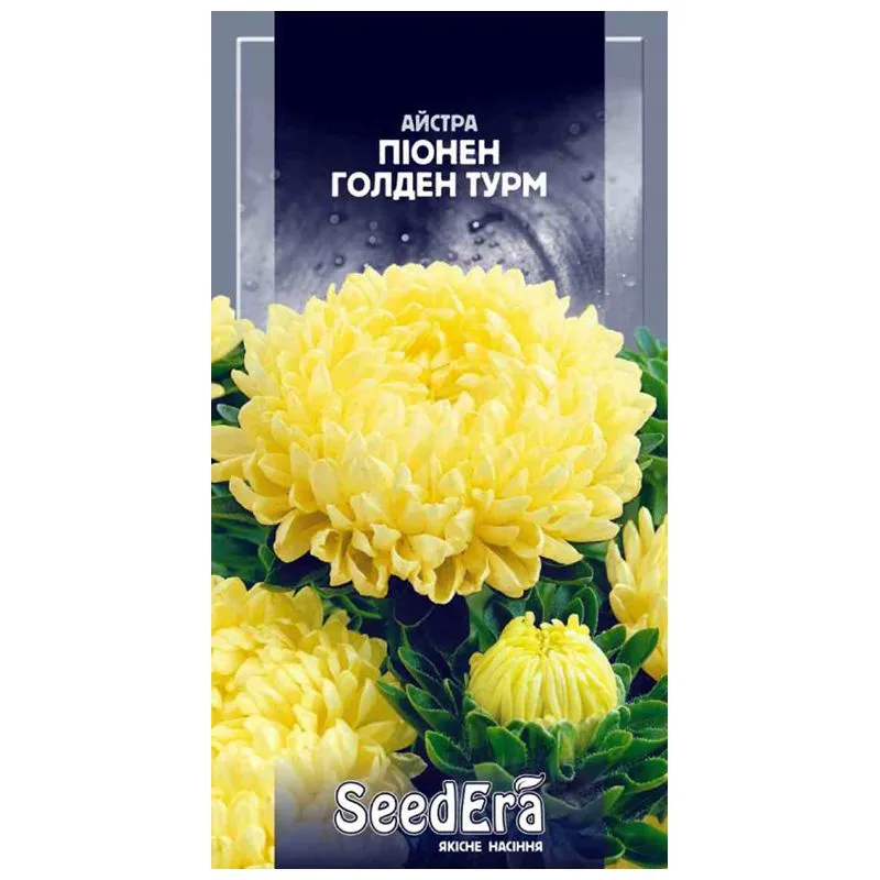 Насіння айстри Seedera Піонен Голден Турм, 0,25 г купити недорого в Україні, фото 1