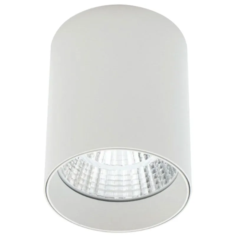 Светильник точечный накладной Altalusse LED INL-7024D-05, 5 Вт, белый, INL-7024D-05 White купить недорого в Украине, фото 1