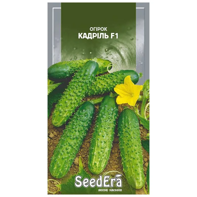 Семена огурца Seedera Кадриль F1, 10 шт купить недорого в Украине, фото 1