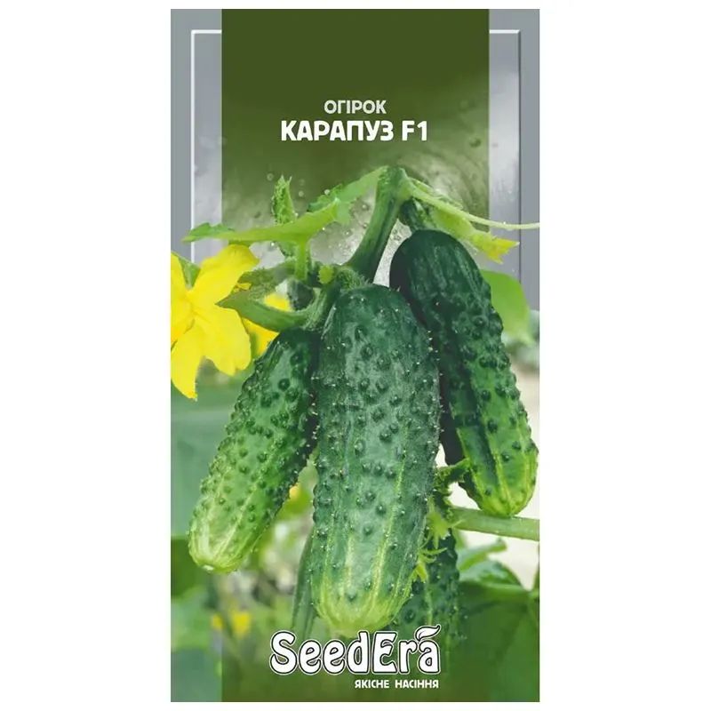 Семена Огурец Карапуз F1 SeedEra, 10 шт купить недорого в Украине, фото 1