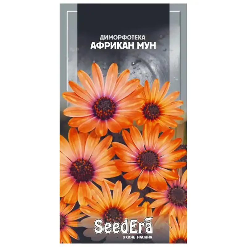 Насіння квітів диморфотеки SeedEra Африкан Мун, 0,2 г, У-0000010053 купити недорого в Україні, фото 1