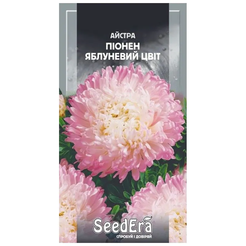 Насіння Seedera Квіти Айстра високоросла Піонен Яблуневий цвіт, 25 г купити недорого в Україні, фото 1