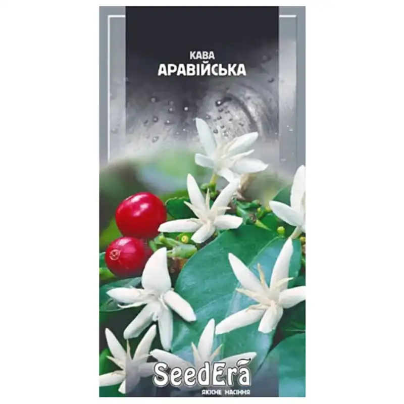 Насіння квітів кави аравійської SeedEra Кімнатна, 10 шт, Т-002887 купити недорого в Україні, фото 1