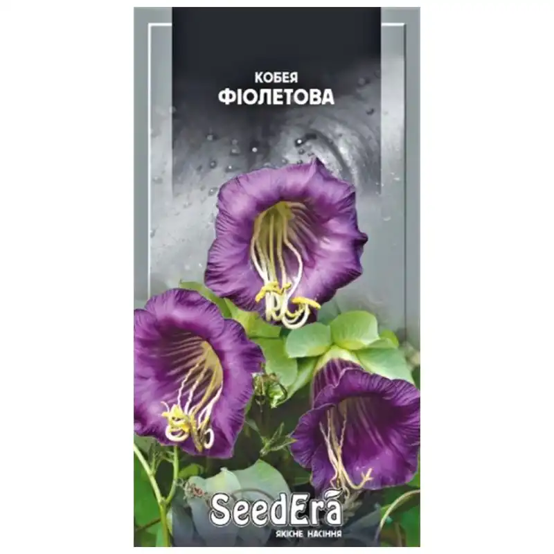 Семена цветов кобеи SeedEra Фиолетова, 0,25 г, Т-002767 купить недорого в Украине, фото 1
