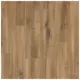 Ламінат Excellent by Balterio, Дуб Кокосовий, 00902 купити недорого в Україні, фото 1