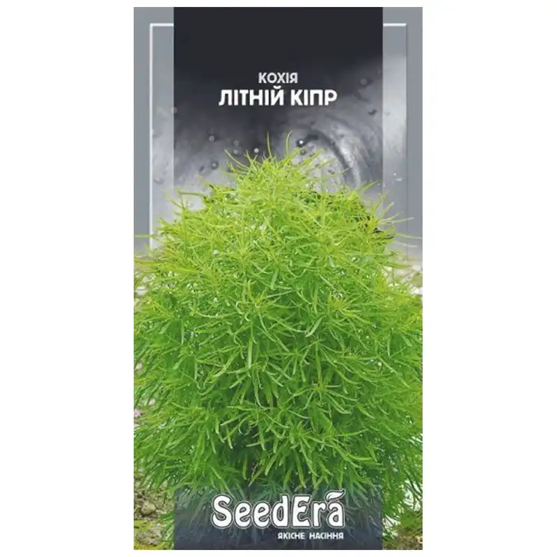 Насіння квітів кохії SeedEra Літній Кіпр, 0,5 г, Т-002769 купити недорого в Україні, фото 1