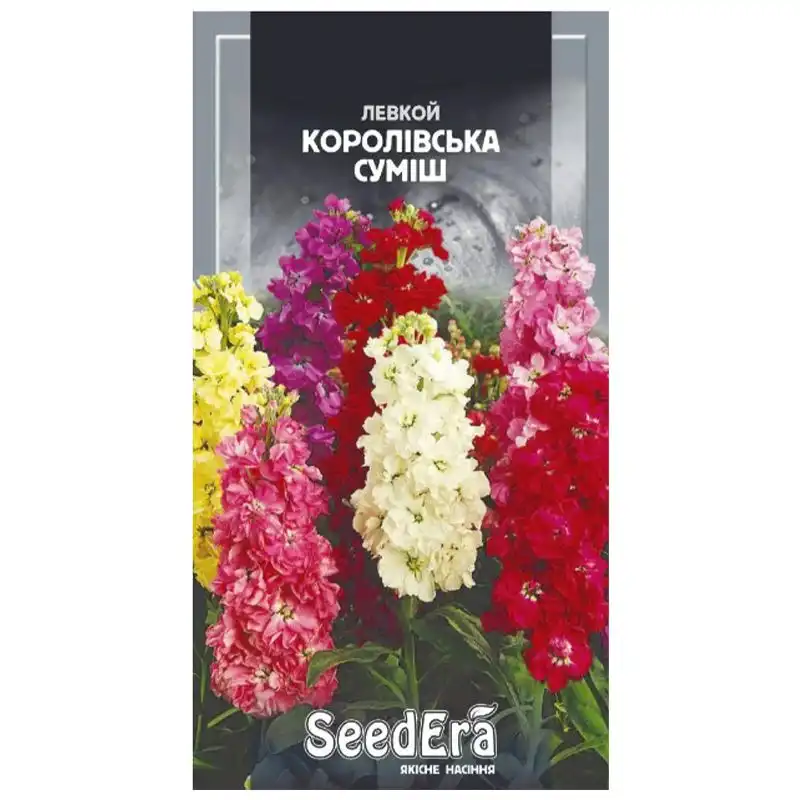 Насіння квітів левкої SeedEra Королівська суміш, 0,2 г, Т-002771 купити недорого в Україні, фото 1