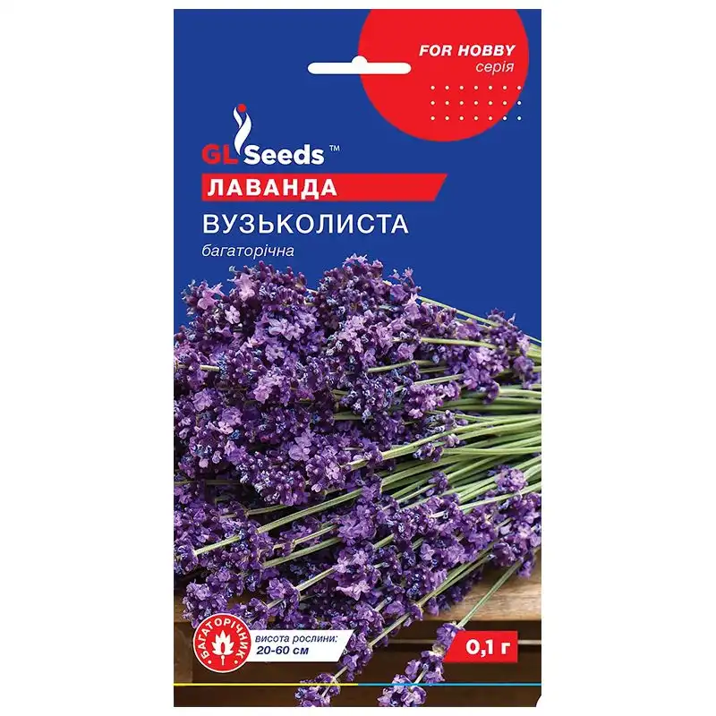 Насіння квітів лаванди GL Seeds For Hobby, Вузьколистна багаторічна, 0,1 г купити недорого в Україні, фото 1