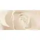 Декор Opoczno Effecta Beige Inserto, 297x600 мм, фото 3 Декор Opoczno Effecta Beige Inserto, 297x600 мм купити недорого в Україні, фото 3
