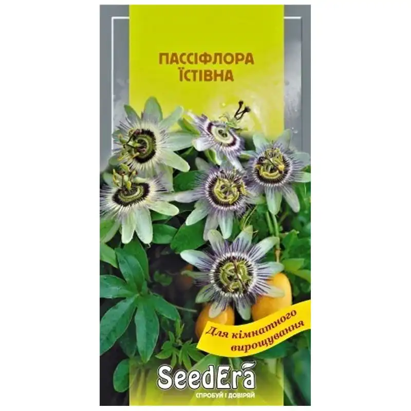 Насіння квітів пассіфлори SeedEra Кімнатна їстівна, 5 шт, Т-002886 купити недорого в Україні, фото 1