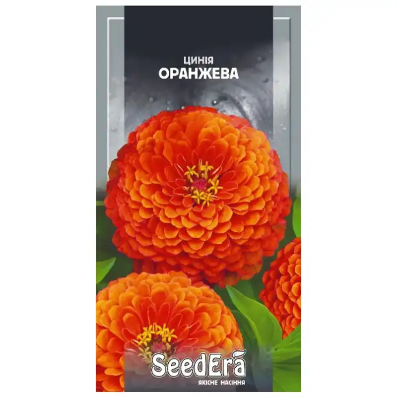 Насіння квітів цинії високорослої SeedEra Елегантна помаранчева, 0,5 г, У-0000010132 купити недорого в Україні, фото 1