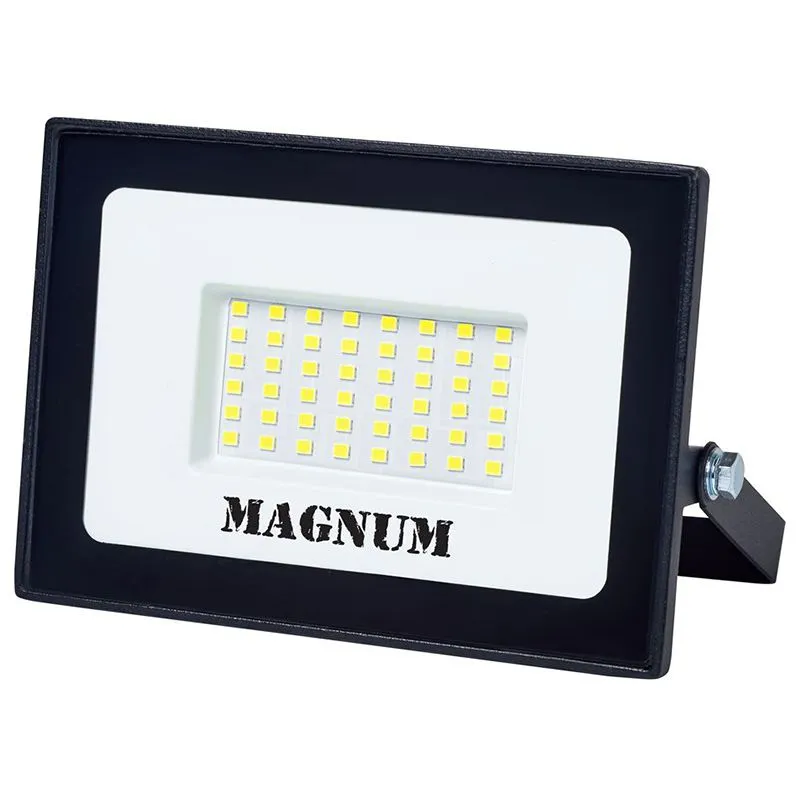 Прожектор Magnum FL12 ECO, 50 Вт, 6500 K, черный, 90018085 купить недорого в Украине, фото 1