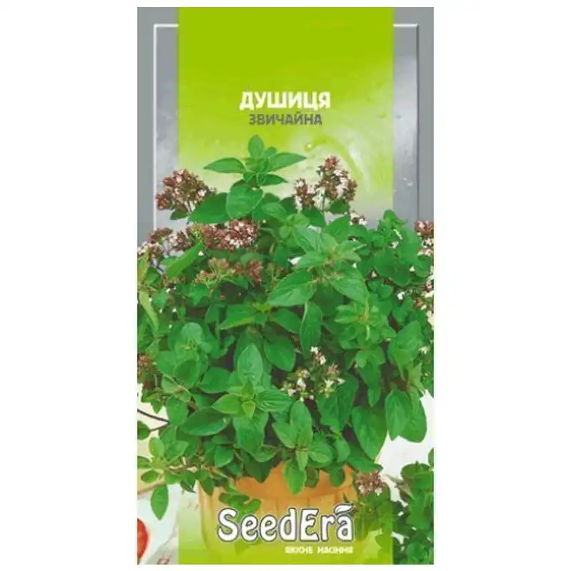 Семена SeedEra Душица обыкновенная, 0,1 г, Т-003157 купить недорого в Украине, фото 1