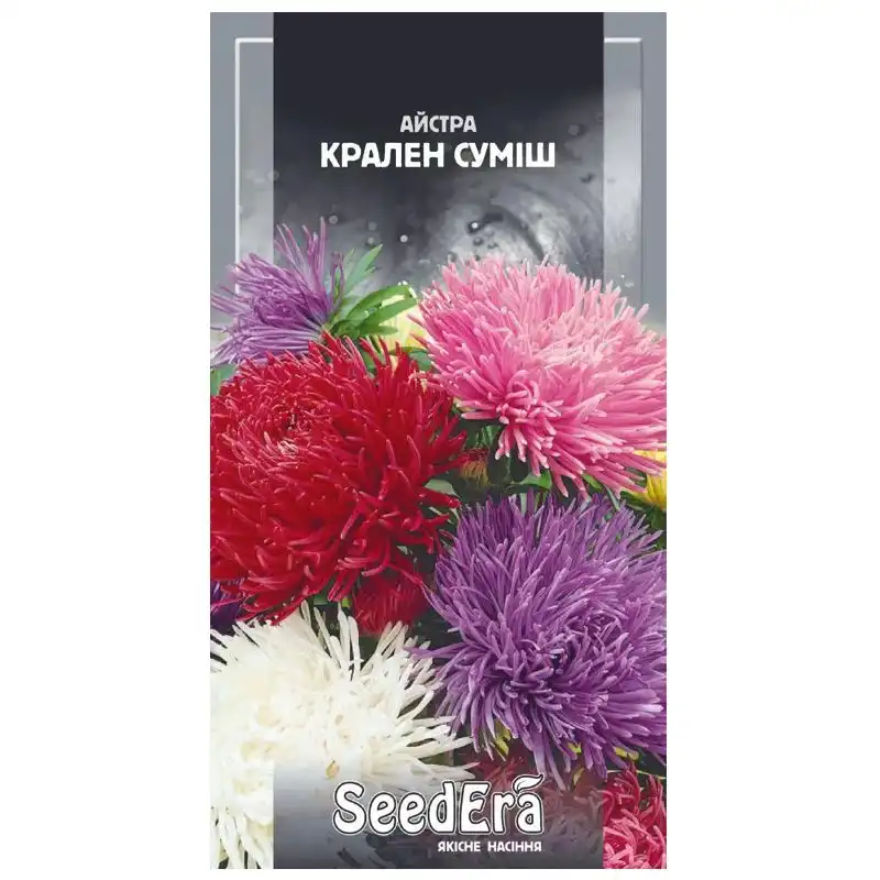Насіння квітів айстри високорослої SeedEra Крален суміш, 0,25 г купити недорого в Україні, фото 1