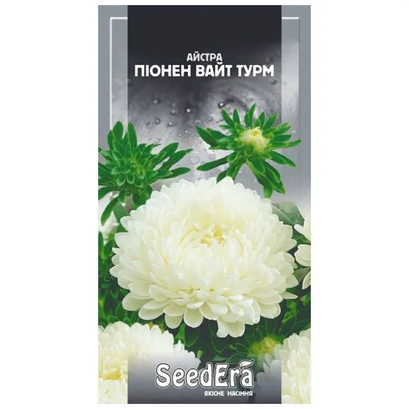 Насіння Seedera Квіти Айстра Піонен Вайт Турм, 25 г купити недорого в Україні, фото 1