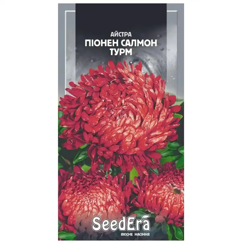 Насіння квітів айстри високорослої SeedEra Піонен Салмон Турм, 0,25 г купити недорого в Україні, фото 1