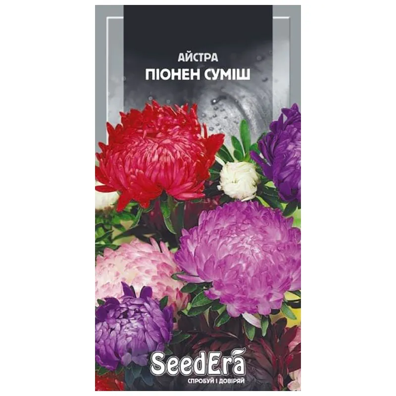 Насіння Seedera Айстра Піонен Суміш, 25 г купити недорого в Україні, фото 1