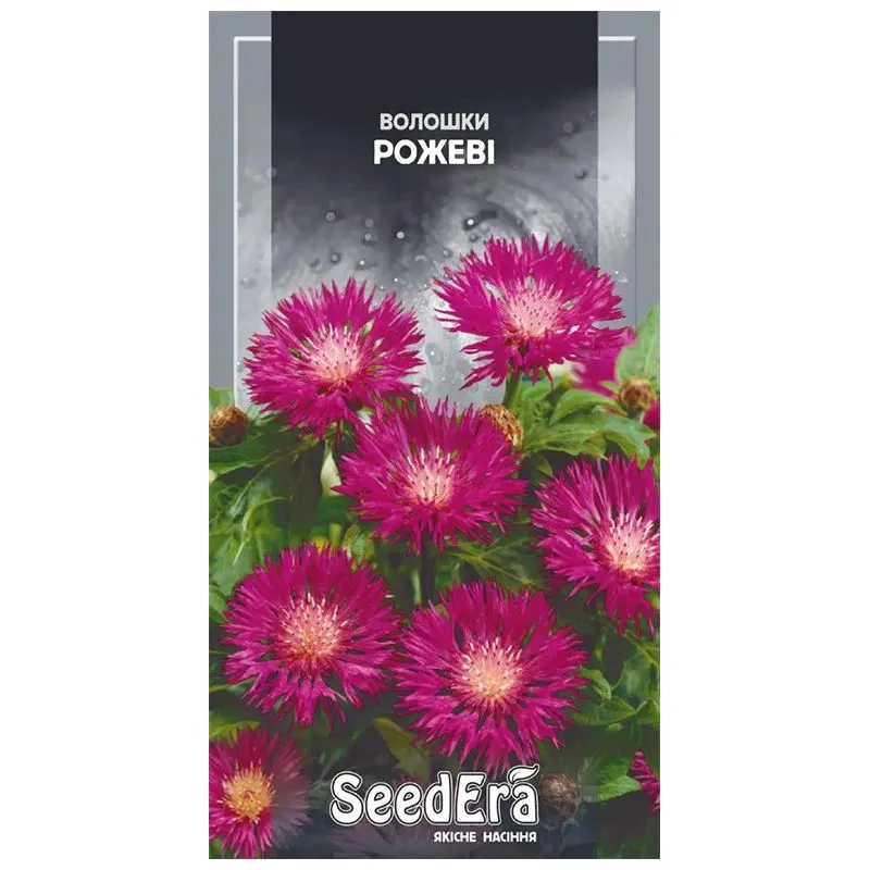 Семена василька Seedera Розовый, 0,5 г купить недорого в Украине, фото 1