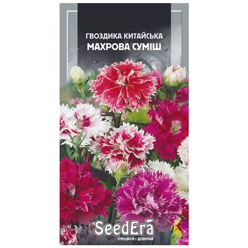 Насіння квітів гвоздики китайської SeedEra Махрова суміш однорічна, 0,2 г купити недорого в Україні, фото 1