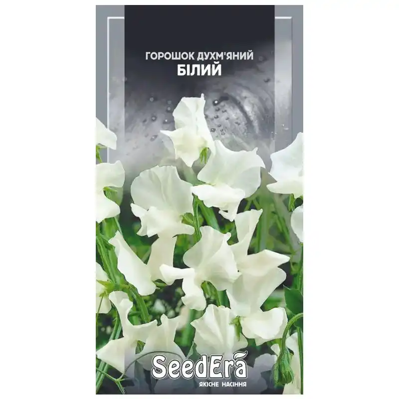 Насіння квітів горошку духм'яного SeedEra Білий, 1 г купити недорого в Україні, фото 1