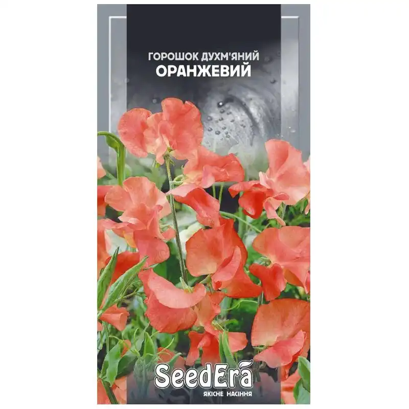 Насіння квітів горошку духм'яного SeedEra Помаранчевий, 1 г купити недорого в Україні, фото 1