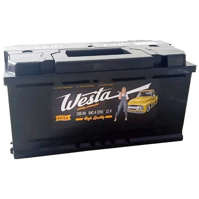 Аккумулятор Westa 6CT-100 А3 (0) Pretty Powerful, WST100 купить недорого в Украине, фото 1