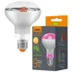 Лампа для растений Videx Filament R80FF, 9 Вт, VL-R80FF-09271, фото 2 Лампа для растений Videx Filament R80FF, 9 Вт, VL-R80FF-09271 купить недорого в Украине, фото 2
