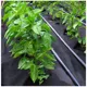 Агроволокно 90 г/м2, 80 см, чорний купити недорого в Україні, фото 2