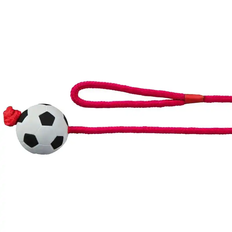 Іграшка для собак Trixie М'яч для дресирування з канатом, 6 см, 1 м, 3307 купити недорого в Україні, фото 1