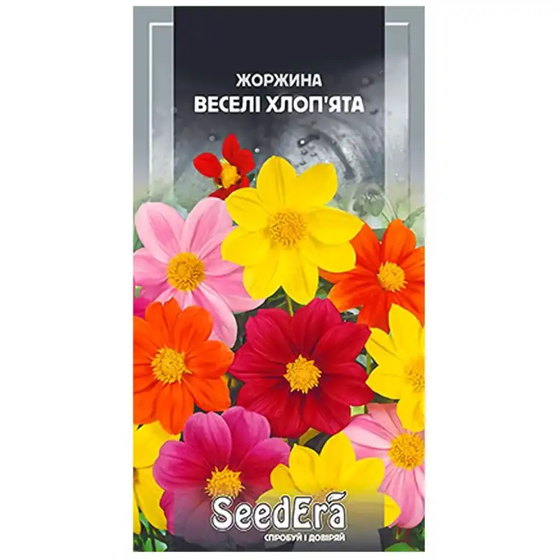 Насіння квітів жоржини мінливої SeedEra Веселі хлоп'ята, 0,5 г купити недорого в Україні, фото 1