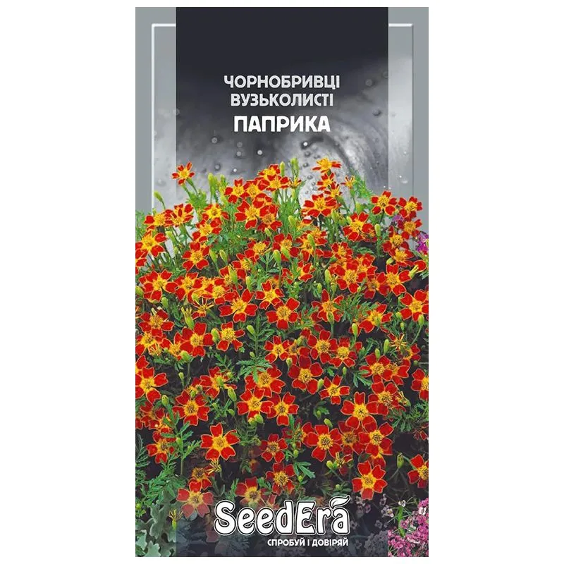 Семена Seedera Бархатцы узколистные Паприка, 1 г купить недорого в Украине, фото 1