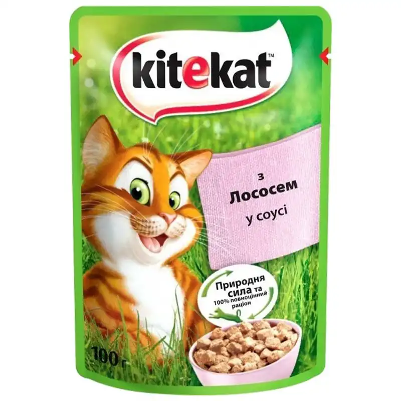 Корм для котів Kitekat Лосось, 100 г, 8193 купити недорого в Україні, фото 1