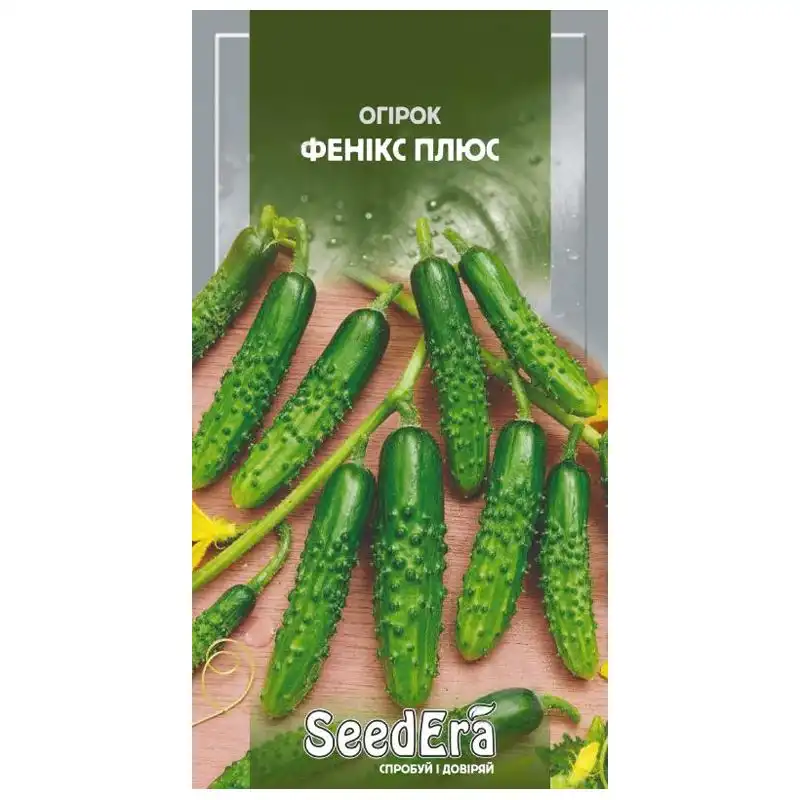 Семена огурца SeedEra Феникс плюс, 1 г купить недорого в Украине, фото 1