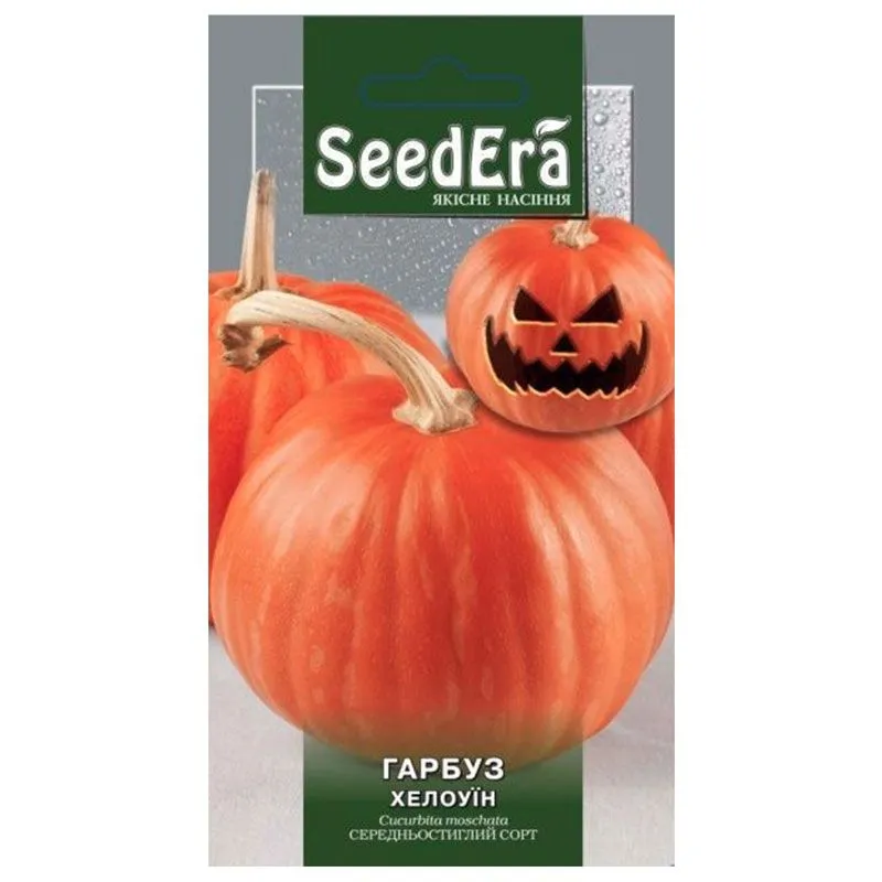 Семена тыквы SeedEra Хэллоуин, 2 г, У-0000008198 купить недорого в Украине, фото 1