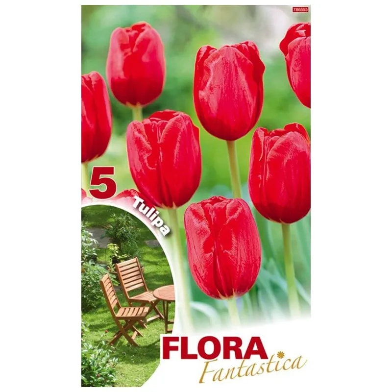 Тюльпан Flora Fantastica Триумф, красный, 5 шт, 420946 купить недорого в Украине, фото 1