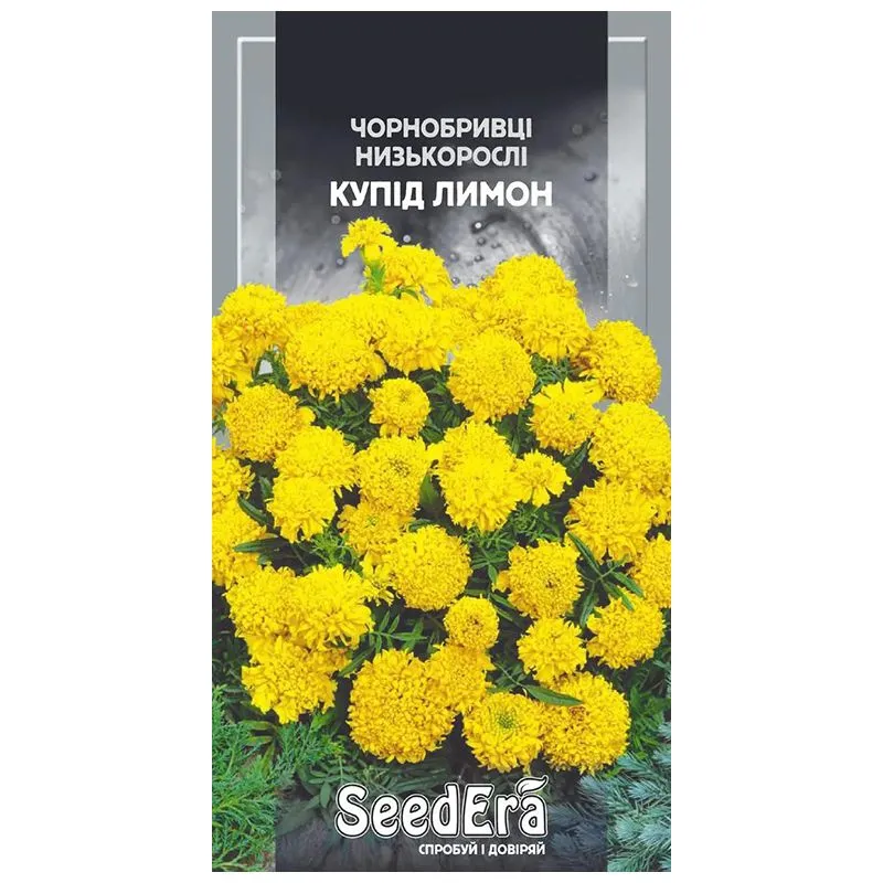 Насіння Seedera Квіти Чорнобривці Купід лимон, 0,5 г купить недорого в Украине, фото 1