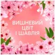 Кондиционер Lenor Вишневый цвет и Шалфей, 0,675 л, 32 цикла, фото 3 Кондиционер Lenor Вишневый цвет и Шалфей, 0,675 л, 32 цикла купить недорого в Украине, фото 3