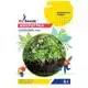 Микрозелень GL Seeds Базилик микс Professional, 5 г, 9885.002, фото 1 Микрозелень GL Seeds Базилик микс Professional, 5 г, 9885.002 купить недорого в Украине, фото 1