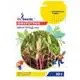 Микрозелень GL Seeds Мангольд микс Professional, 10 г, 9885.005 купить недорого в Украине, фото 1