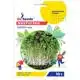 Микрозелень GL Seeds Салат микс Professional, 10 г, 9885.008 купить недорого в Украине, фото 1