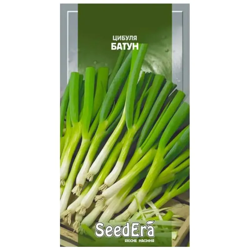 Семена лука Seedera Батун, 1 г купить недорого в Украине, фото 1