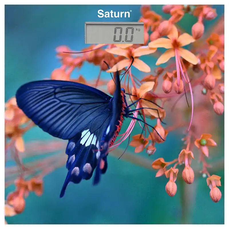 Ваги підлогові електронні Saturn ST-PS0298, Метелик, скло купити недорого в Україні, фото 1